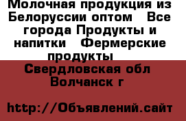 Молочная продукция из Белоруссии оптом - Все города Продукты и напитки » Фермерские продукты   . Свердловская обл.,Волчанск г.